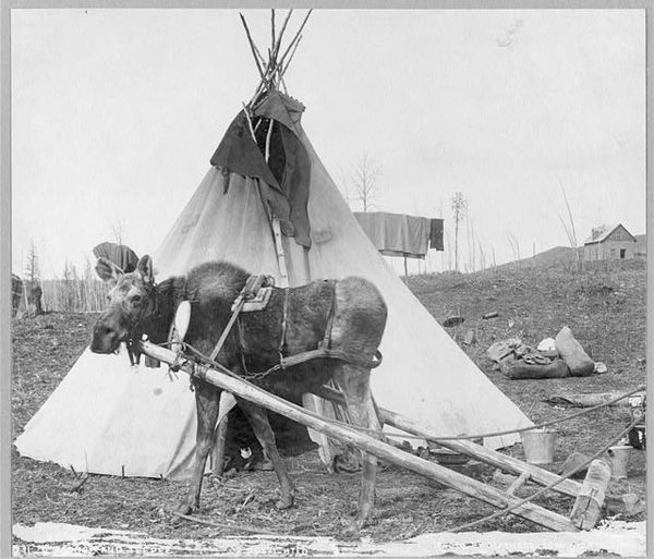 Historic hunting scene